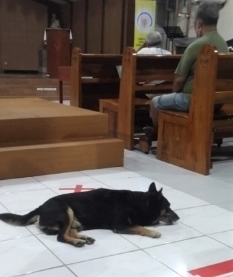 Ini kapten yg selama ini selalu ikut setia berdoa walaupun kadang aku aku tdk ikut, kapten selalu ikut Karna kalo TDK boleh masuk dia akan gedor2 pintu gereja--